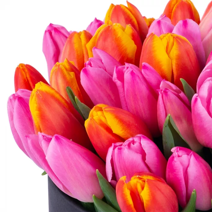 Букет микс из 51 тюльпана в черной шляпной коробке