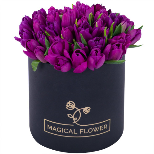 51 фиолетовый тюльпан в черной шляпной коробке