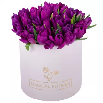 51 фиолетовый тюльпан в кремовой шляпной коробке