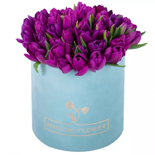 51 фиолетовый тюльпан в зеленой бархатной шляпной коробке