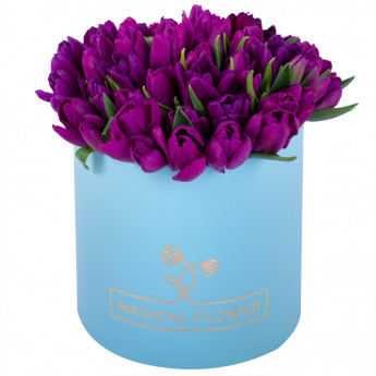 51 фиолетовый тюльпан в голубой шляпной коробке
