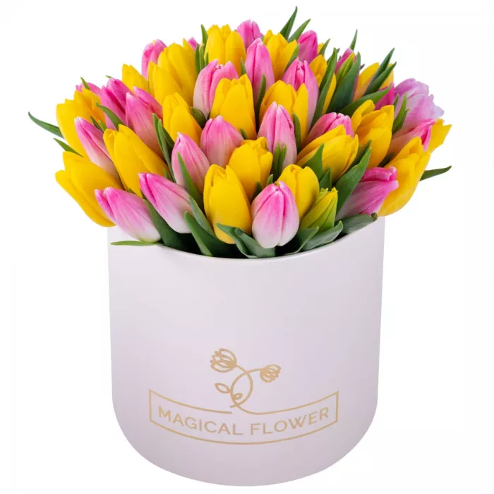 51 разноцветных тюльпан в кремовой шляпной коробке 51 разноцветных тюльпан в кремовой шляпной коробке