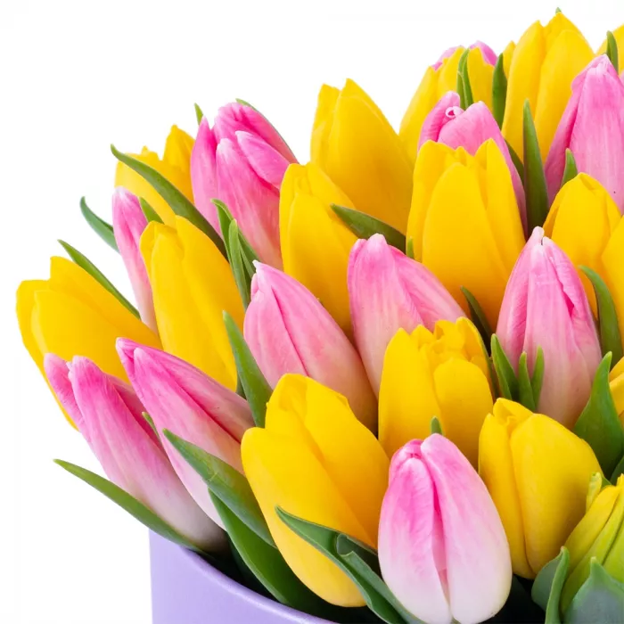 51 разноцветных тюльпан в фиолетовой шляпной коробке