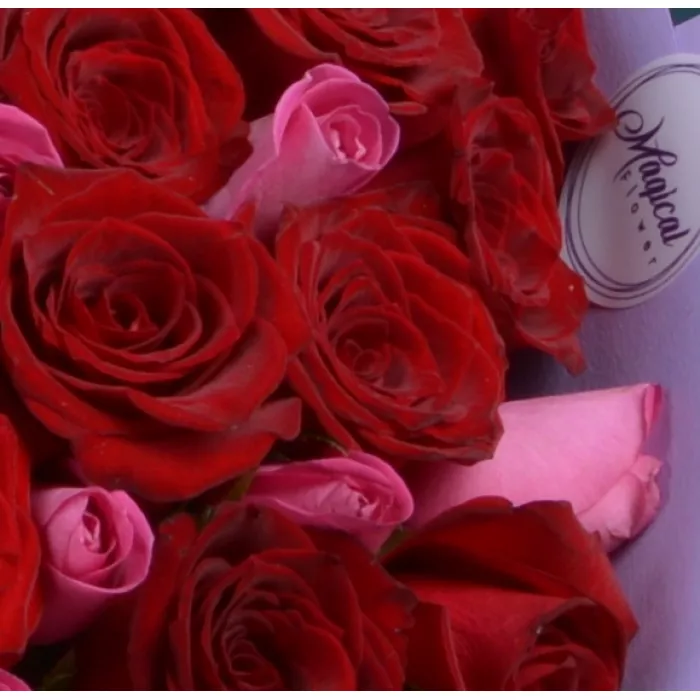 101 роза букет разноцветный Ягодный микс