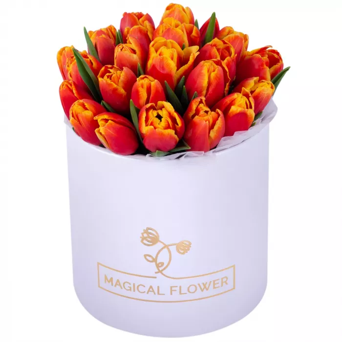25 огненных тюльпан в белой шляпной коробке