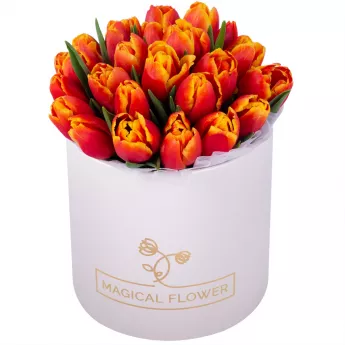 25 огненных тюльпан в кремовой шляпной коробке