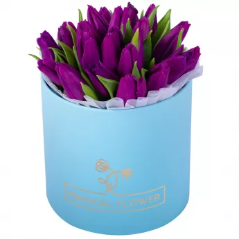 25 фиолетовых тюльпан в голубой шляпной коробке