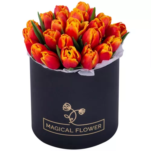 25 огненных тюльпан в черной шляпной коробке
