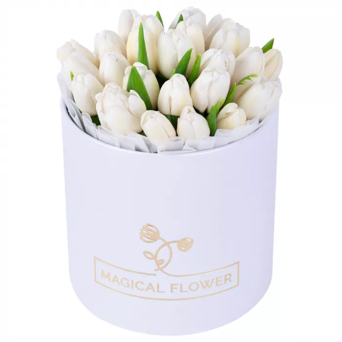 25 белых тюльпан в белой шляпной коробке