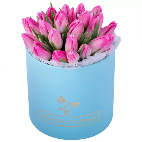 25 бело-розовых тюльпан в голубой шляпной коробке
