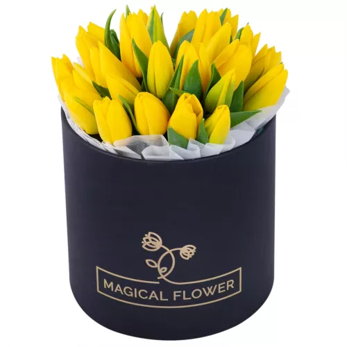 25 желтых тюльпан в черной шляпной коробке