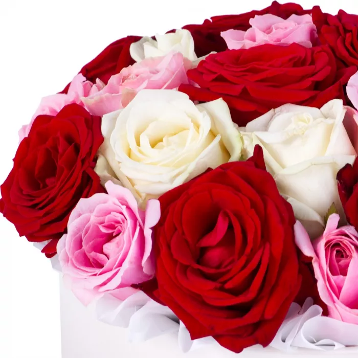 Букет из 21 разноцветной розы premium в кремовой шляпной коробке