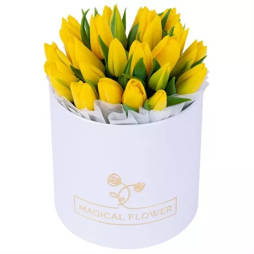25 желтых тюльпан в белой шляпной коробке