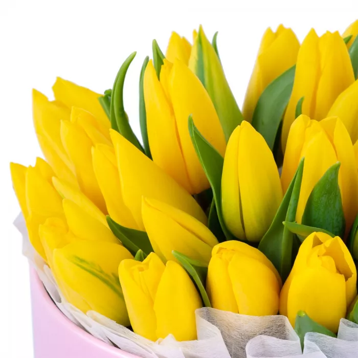 25 желтых тюльпан в розовой шляпной коробке