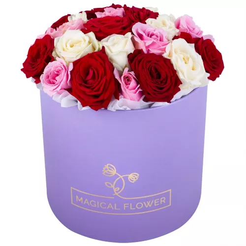 Букет из 21 разноцветной розы premium в фиолетовой шляпной коробке