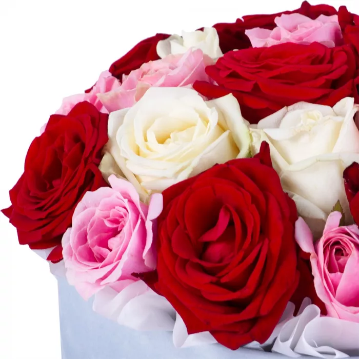 Букет из 21 разноцветной розы premium в серой бархатной шляпной коробке