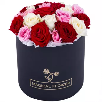 Букет из 21 разноцветной розы premium в черной шляпной коробке