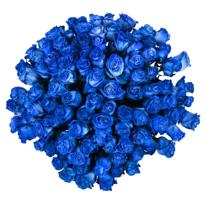 Букет из 101 синей розы Эквадор (Premium 60см) 