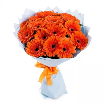 15 оранжевых гербер