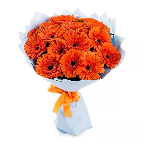 15 оранжевых гербер