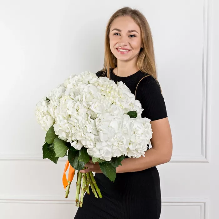 Букет из 11 гортензий