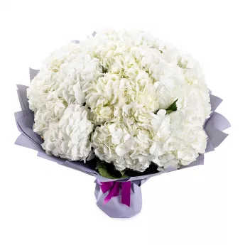 Букет из 15 белых гортензий
