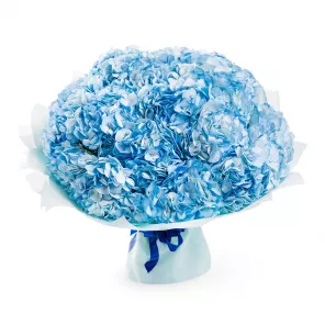 Букет из 15 голубых гортензий