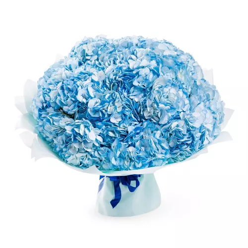 Букет из 15 голубых гортензий