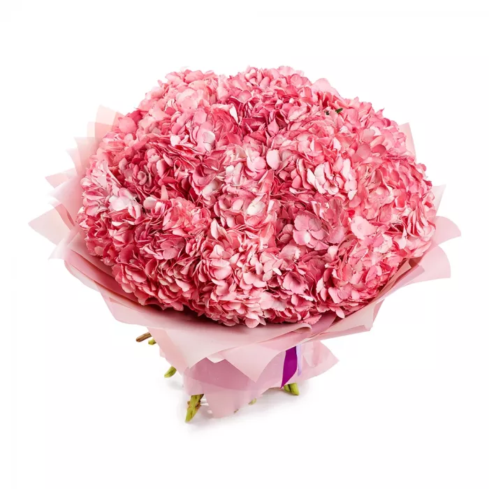 Букет из 25 розовых гортензий