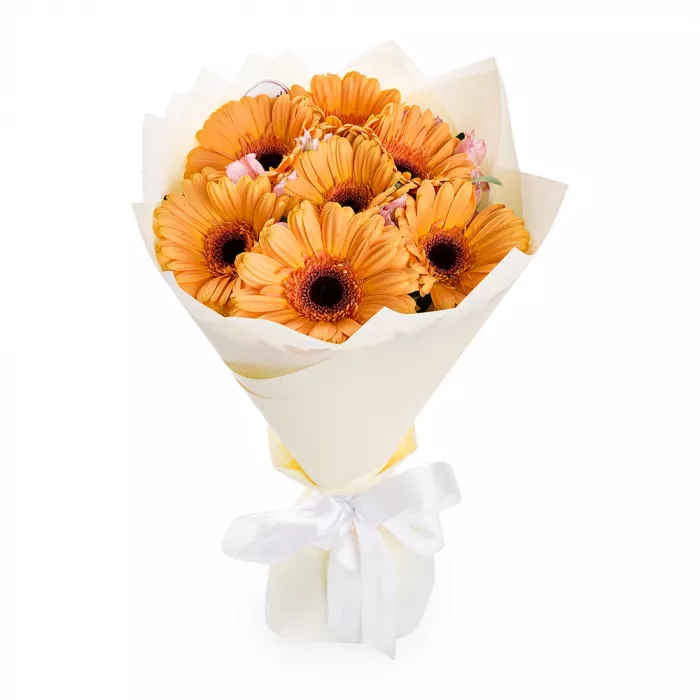 7 оранжевых гербер