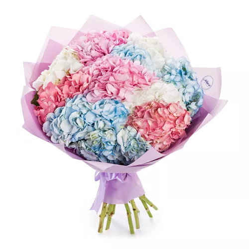 Букет из 11 разноцветных гортензий