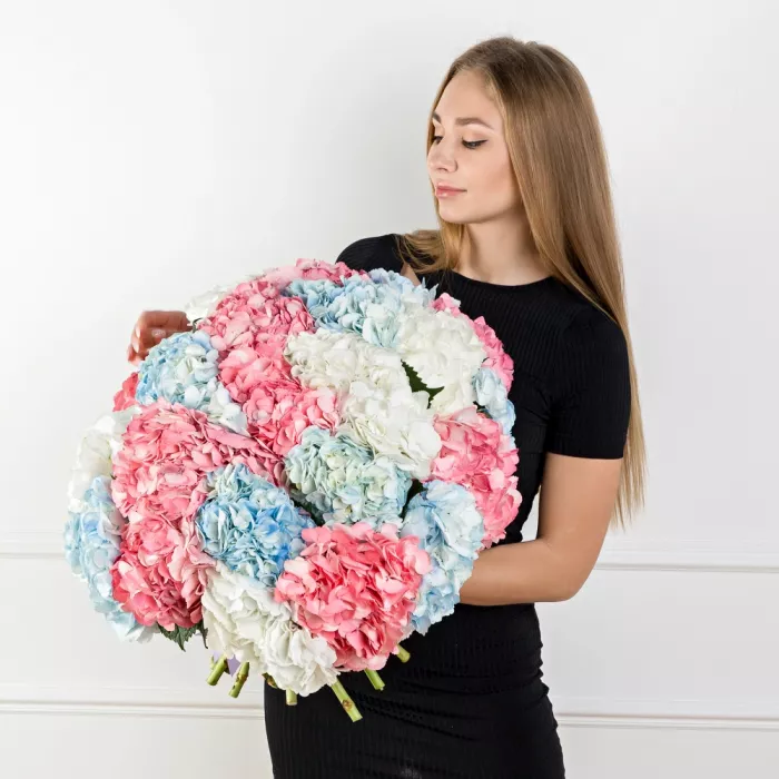 Букет из 25 разноцветных гортензий