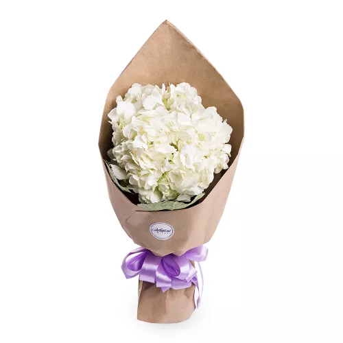 Букет из 1 белой гортензии в крафте