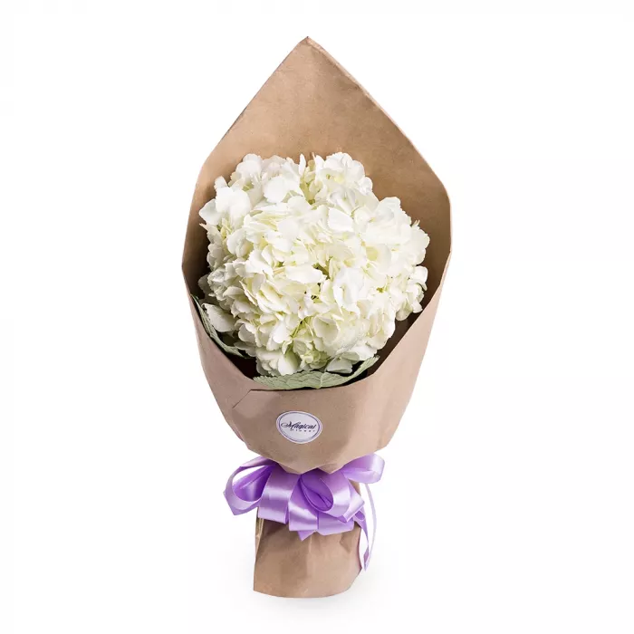 Букет из 1 белой гортензии в крафте