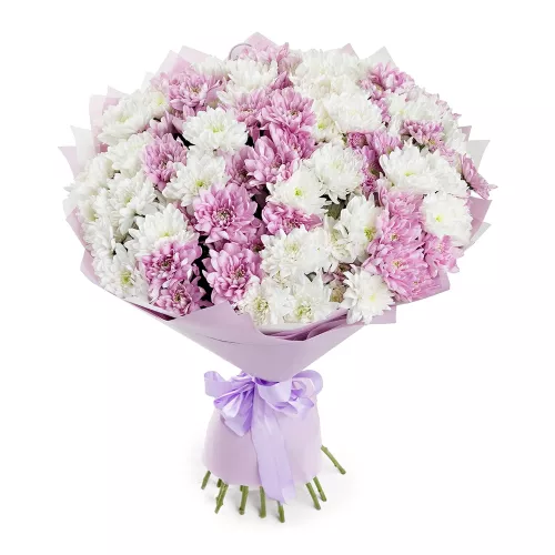 Букет из 25 разноцветных хризантем