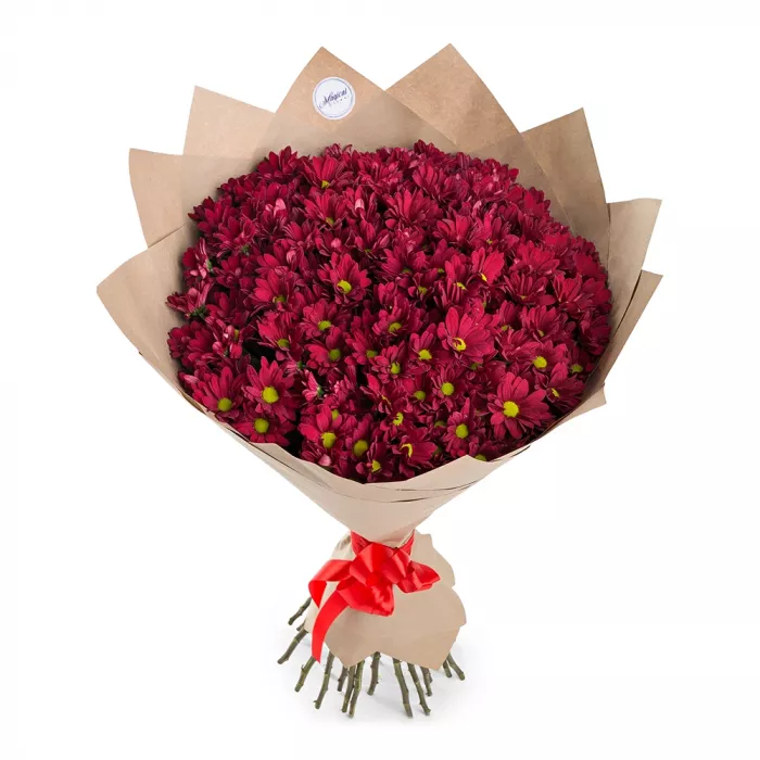Букет из 25 красных хризантем