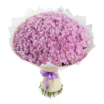 Букет из 51 сиреневой хризантемы