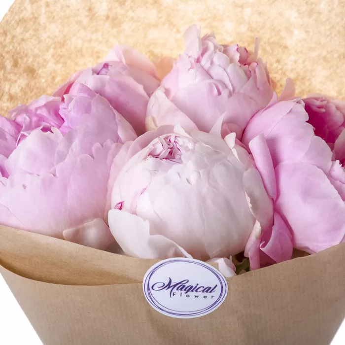 Букет из 5 розовых пионов