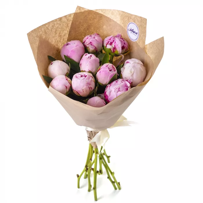 Букет из 11 розовых пионов