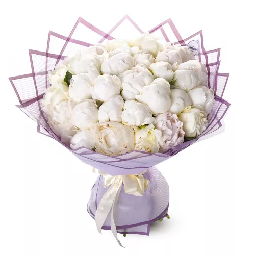 Букет из 31 белого пиона