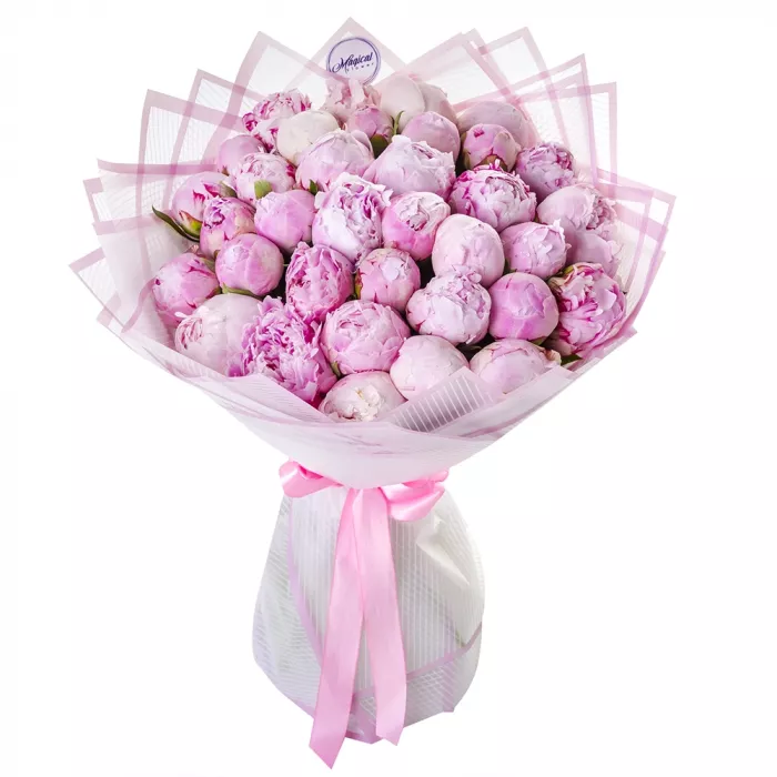 Букет из 35 розовых пионов