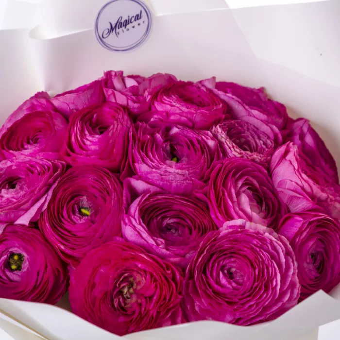 Букет из 19 малиновых ранункулюсов