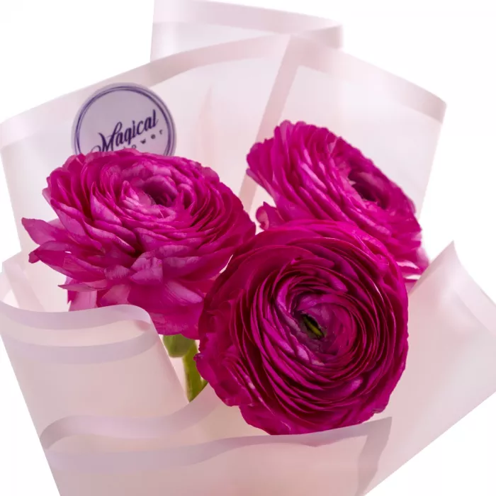 Букет из 3 розовых ранункулюсов