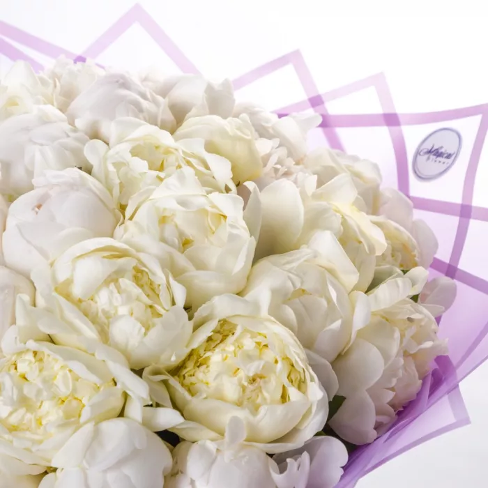 Букет из 51 белого пиона