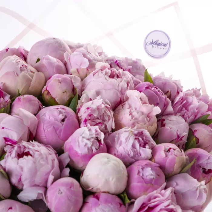 Букет из 51 пиона