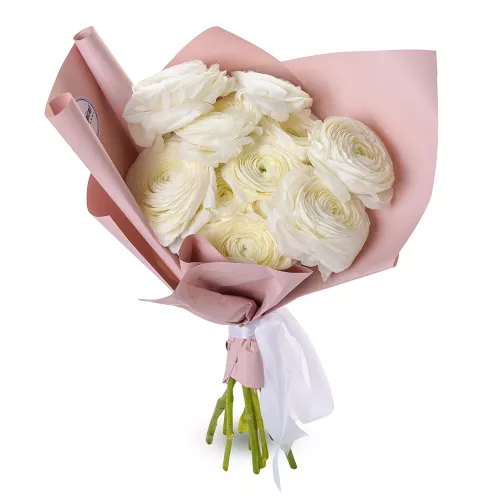 Букет из 11 белых ранункулюсов
