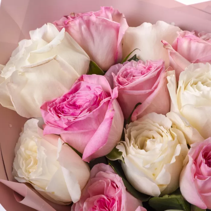 19 разноцветных роз White O'Hara