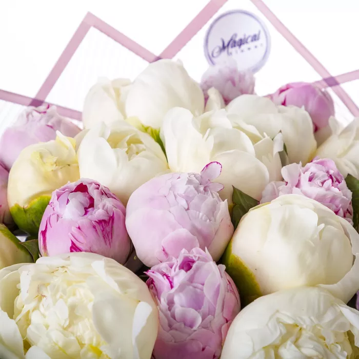 Букет из 19 разноцветных пионов