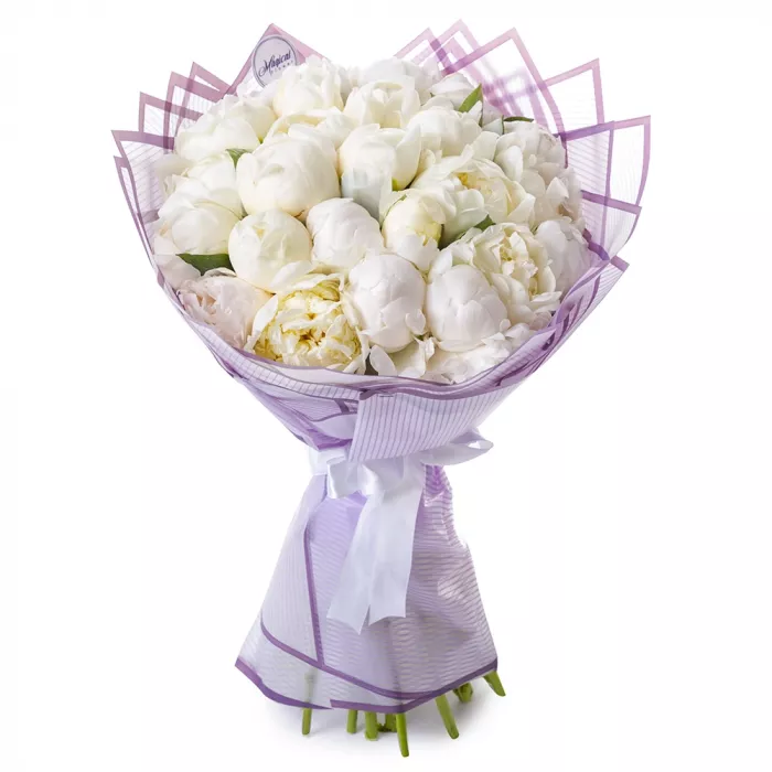 Букет из 21 белого пиона