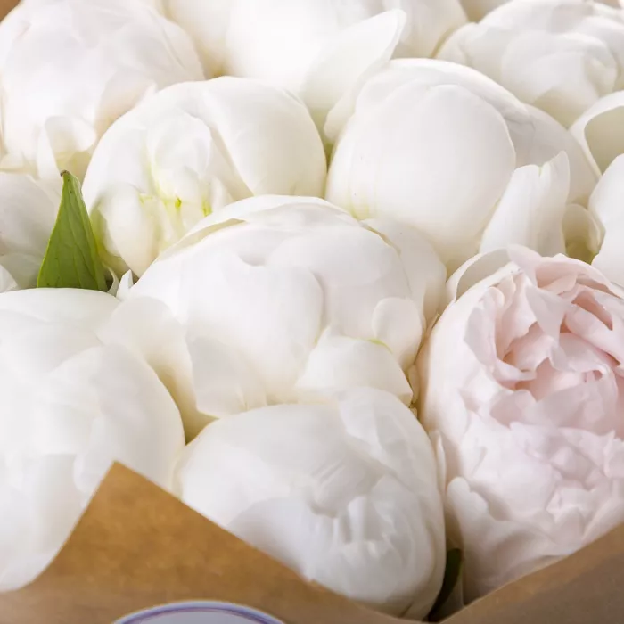 Букет из 11 белых пионов в крафте